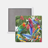 Rosella Parrots in Fig Tree Magnet (Vorderseite/Rückseite)