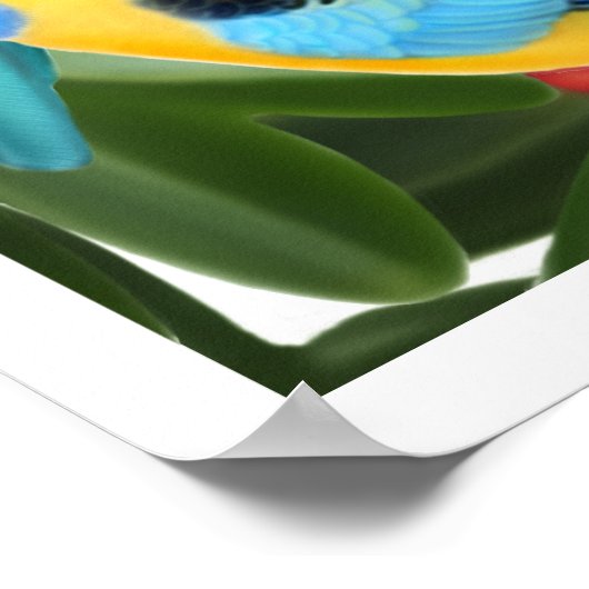 Rosella Parrots in Fig Tree Print Poster (Ecke)