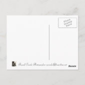 Roseman Bridge Winterset, Iowa Postkarte (Rückseite)