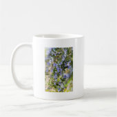 Rosemarblüte im Frühjahr Kaffeetasse (Links)