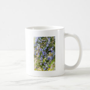 Rosemarblüte im Frühjahr Kaffeetasse