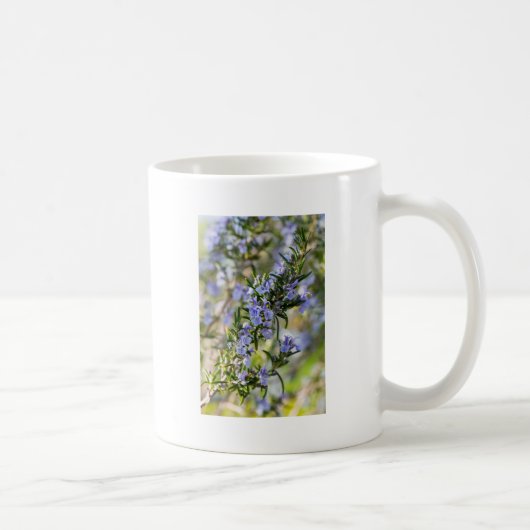 Rosemarblüte im Frühjahr Kaffeetasse (Rechts)