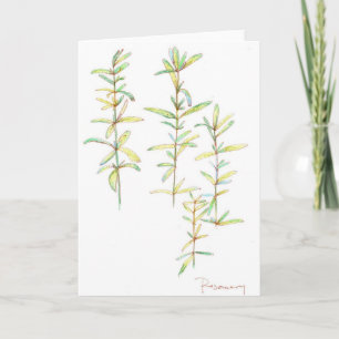 Rosemary Herb Botanical Zeichn Blank Note Card Karte