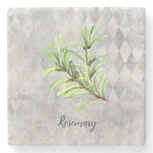 Rosemary Herb Botanische Wasserfarbe
