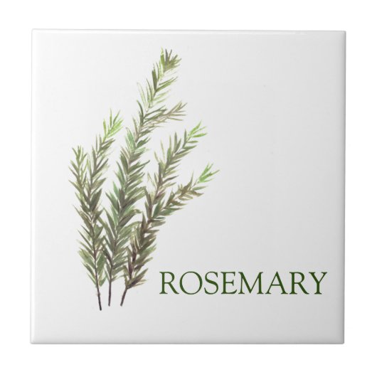 Rosemary Herb Green Kitchen Vintag Green Fliese (Vorderseite)