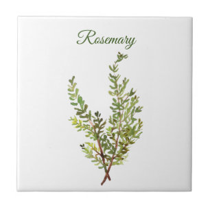 Rosemary Herb Grüne Küche Kulinarisches Grün Fliese