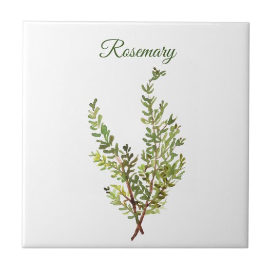 Rosemary Herb Grüne Küche Kulinarisches Grün Fliese (Vorderseite)