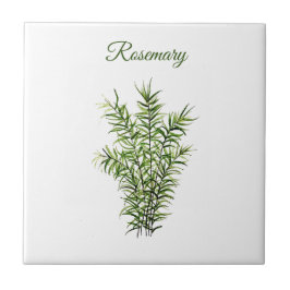 Rosemary Herb Grüne Küche Kulinarisches Grün Fliese