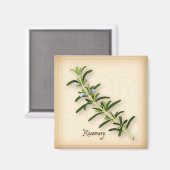Rosemary Herb Magnet (Vorderseite/Rückseite)