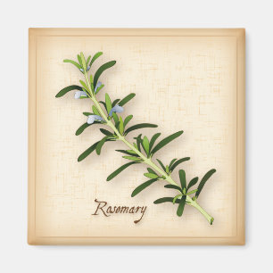 Rosemary Herb Magnet