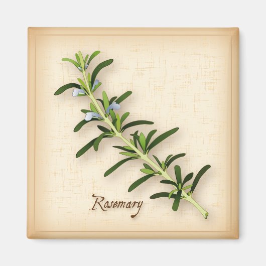 Rosemary Herb Magnet (Vorne)