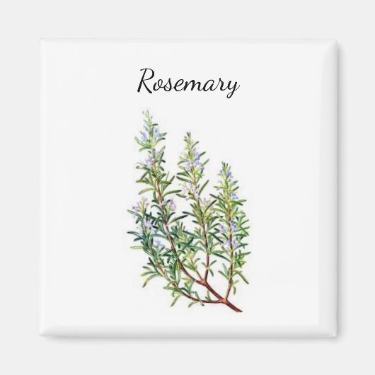 Rosemary Herb Magnet (Vorne)