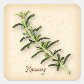 Rosemary Herb Square Sticker (Vorderseite)