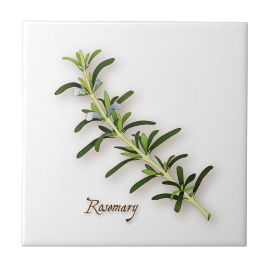 Rosemary Herb Tile Fliese (Vorderseite)