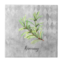 Rosemary Herb Watercolor