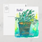 Rosemary Herb Watercolor Hello Postkarte (Vorne/Hinten)