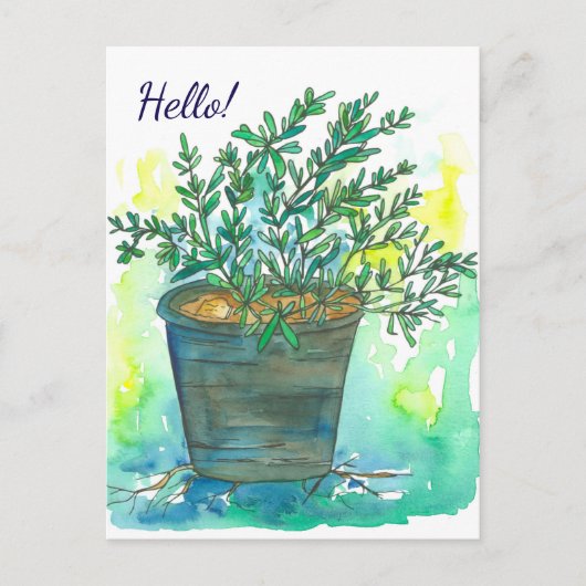 Rosemary Herb Watercolor Hello Postkarte (Vorderseite)