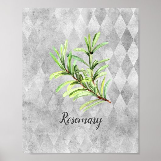 Rosemary Herb Watercolor Poster (Vorne)