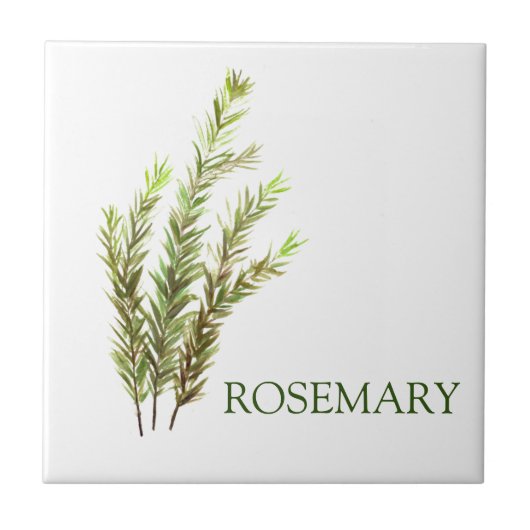 Rosemary Herbs Green Kitchen Vintag Green Fliese (Vorderseite)