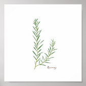 Rosemary Illustration | Herbs Kitchen Wall Art Poster (Vorne)