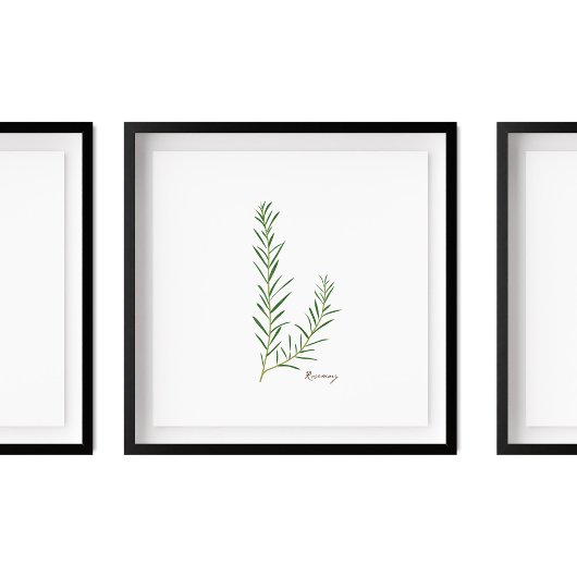 Rosemary Illustration | Herbs Kitchen Wall Art Poster