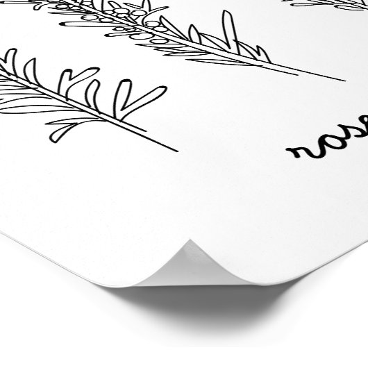 Rosemary Illustration Print Poster (Ecke)