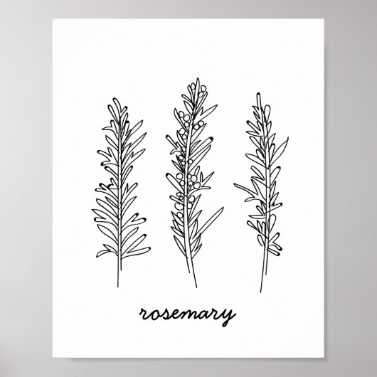 Rosemary Illustration Print Poster (Vorne)
