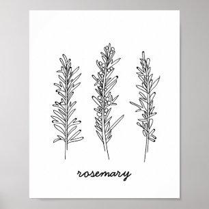 Rosemary-Illustrations-Druck Poster