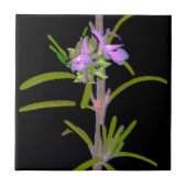 Rosemary in Bloom Fliese (Vorderseite)