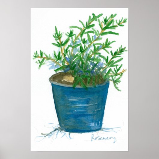 Rosemary Kitchen Herb Pflanze Aquarellmalerei Poster (Vorne)