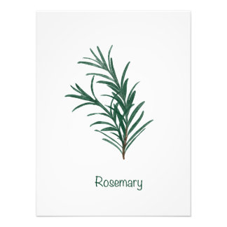 Rosemary Kitchen Wall Art Fotodruck