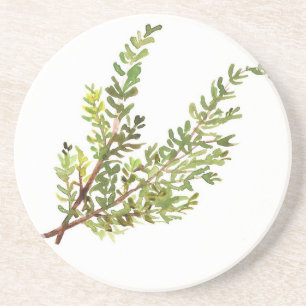 Rosemary Kraut Rosemary Aquarellmalerei Untersetzer