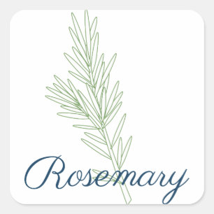 Rosemary Pflanze Quadratischer Aufkleber