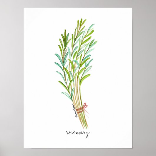 Rosemary Poster (Vorne)