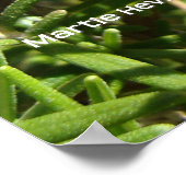 Rosemary Poster (Ecke)