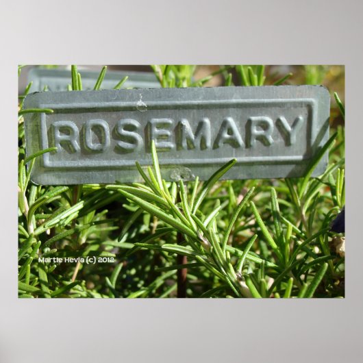 Rosemary Poster (Vorne)
