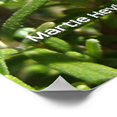 Rosemary Poster (Ecke)