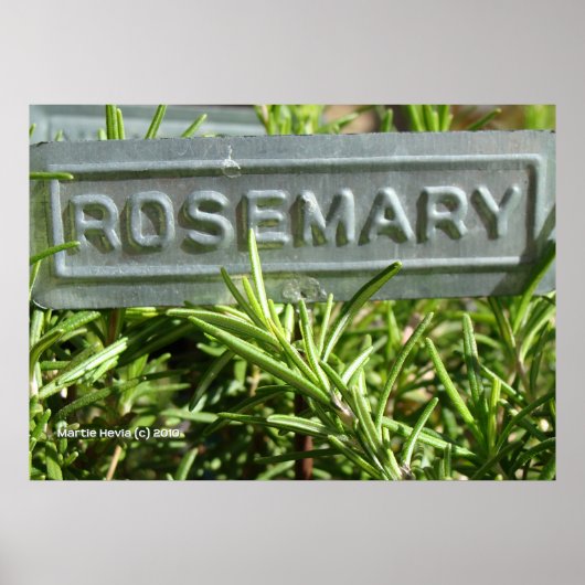 Rosemary Poster (Vorne)