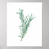 Rosemary Poster (Vorne)