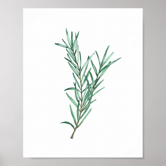 Rosemary Poster (Vorne)