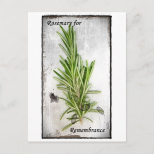 Rosemary Postkarte