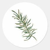 Rosemary Sprig Illustration Classic Round Sticker (Vorderseite)
