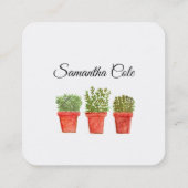 Rosemary Thyme Sage Herbs Koch Pots Quadratische Visitenkarte (Rückseite)