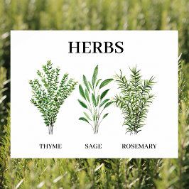 Rosemary Thyme Sage Herbs Küche Koch Poster