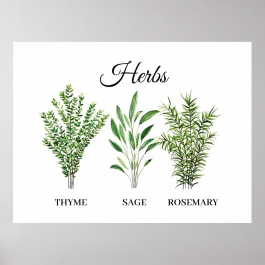 Rosemary Thyme Sage Herbs Küche Koch Poster (Vorne)