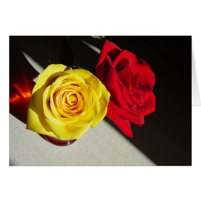 Rosen (Vorderseite (Horizontal))