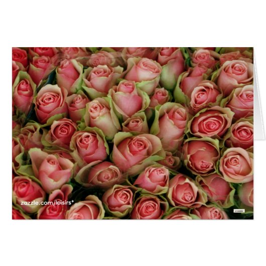 Rosen (Vorderseite (Horizontal))