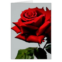 Rosen