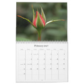 Rosen 2009 kalender (Feb 2027)
