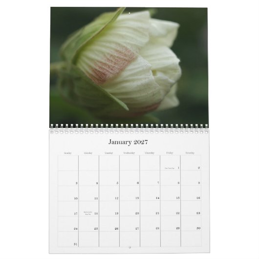 Rosen 2009 kalender (Jan 2027)